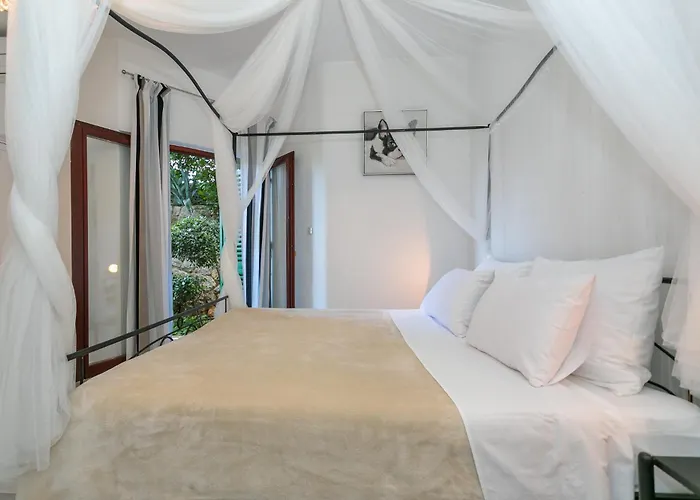 Delfin Apartament *