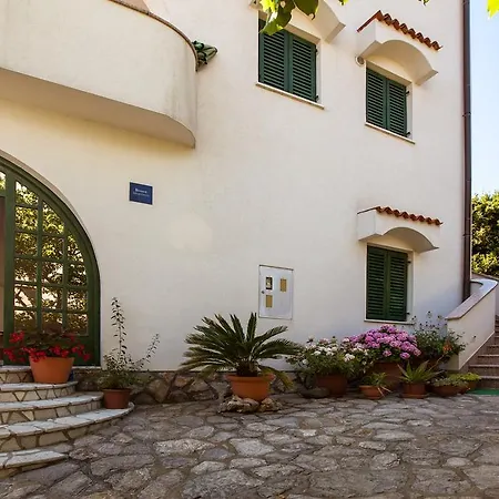 Apartment Delfin *